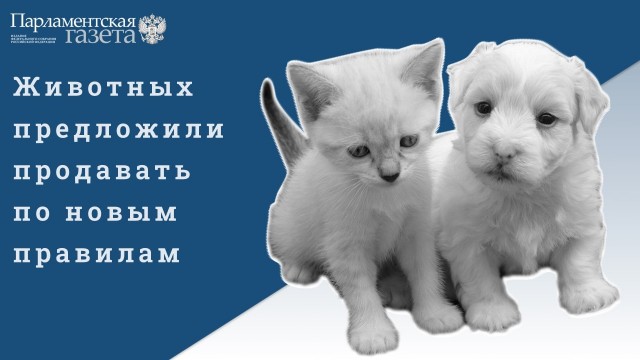 Победная поступь идиотизма по планете – том 5