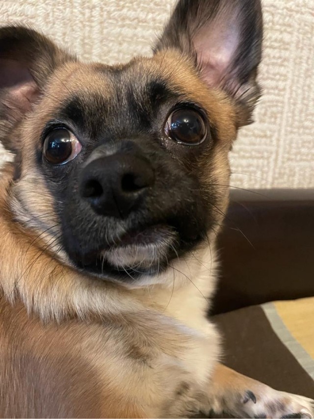 Ну чё, погнали наши городских!