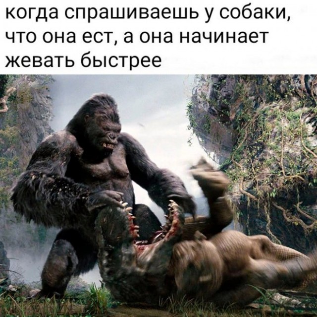 Картинки и мемы, всем хороших выходных
