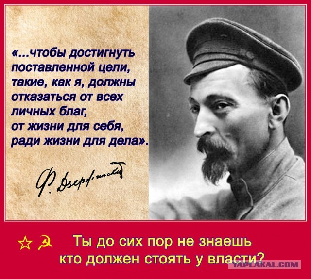 Первые леопарды прибыли