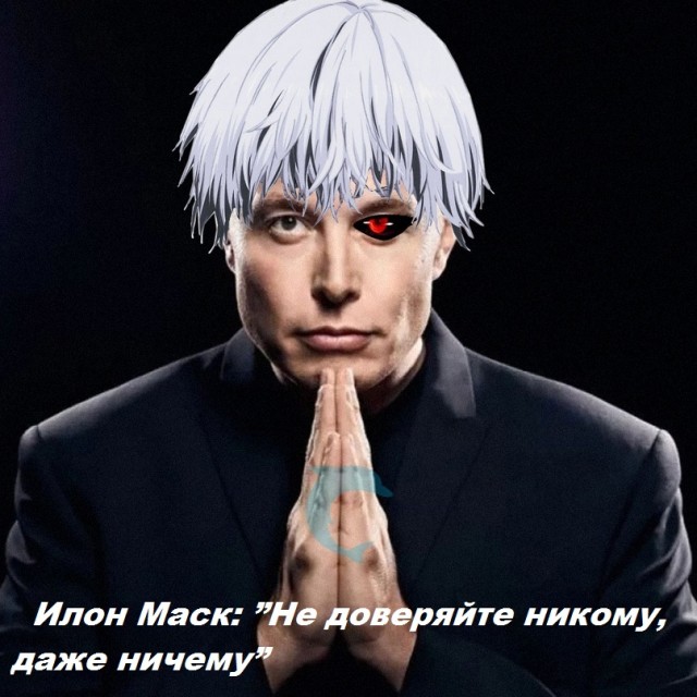 Весёлый полтишок 21.05.23