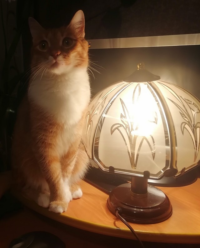 Изюм
