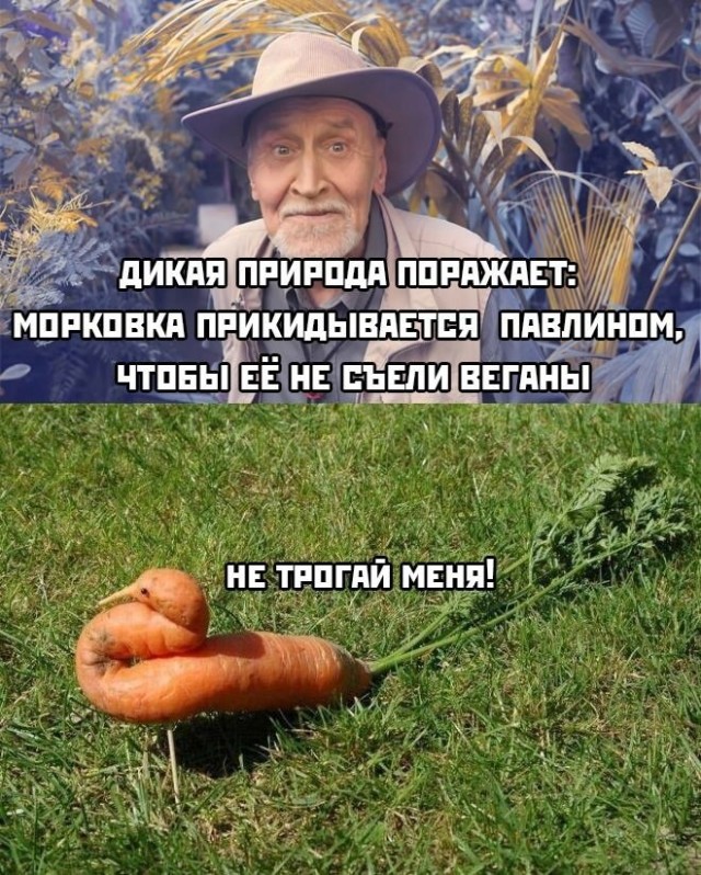 Так себе картинки 05.08.23