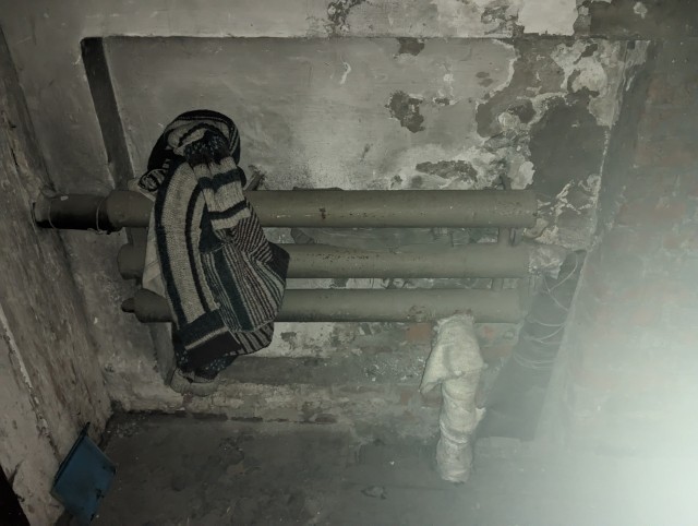 Самая последняя в галерее