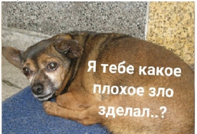 От финансов до здоровья: полезные советы на все случаи жизни