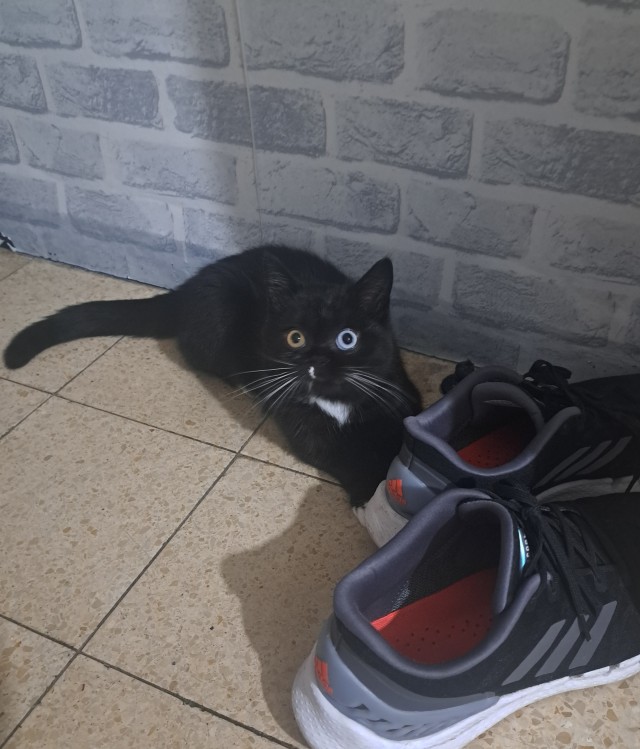 Которабство