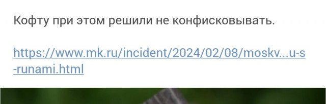 Москвича арестовали за кофту с рунами