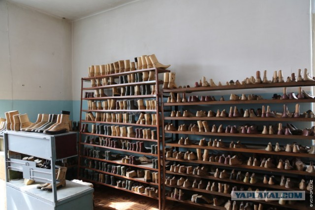 Мои вторые ноги