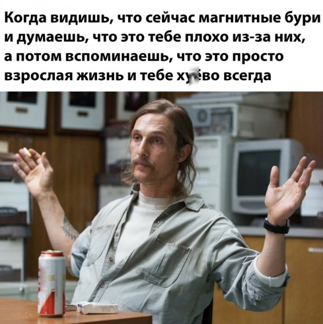 Весёлый полтишок 20.05.24
