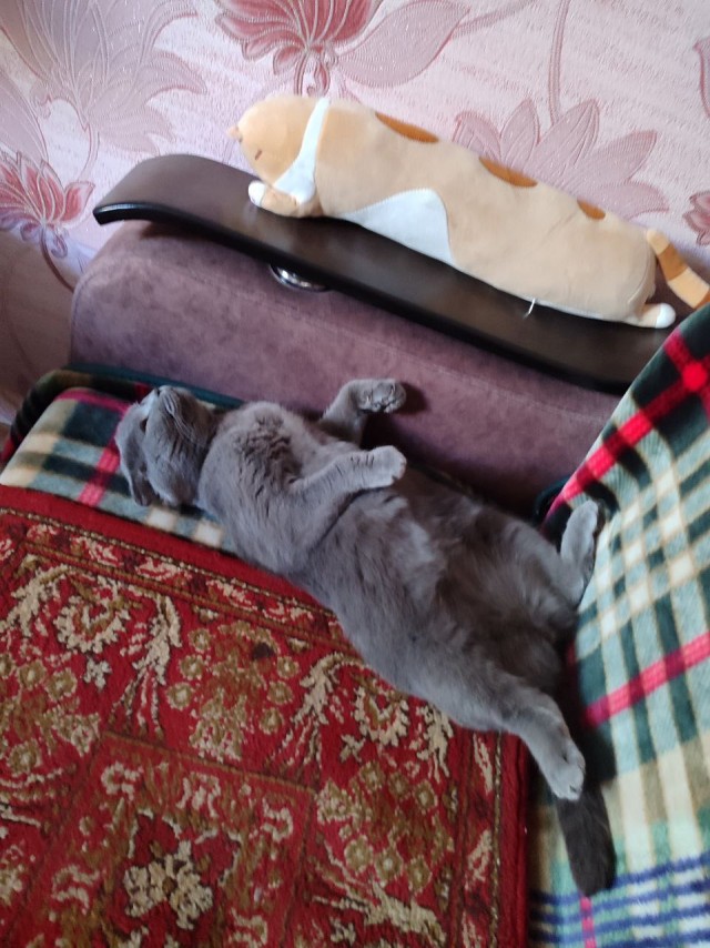 Просыпайся! Вторник же