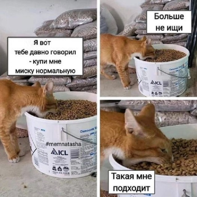 Картинки разные с надписями и без