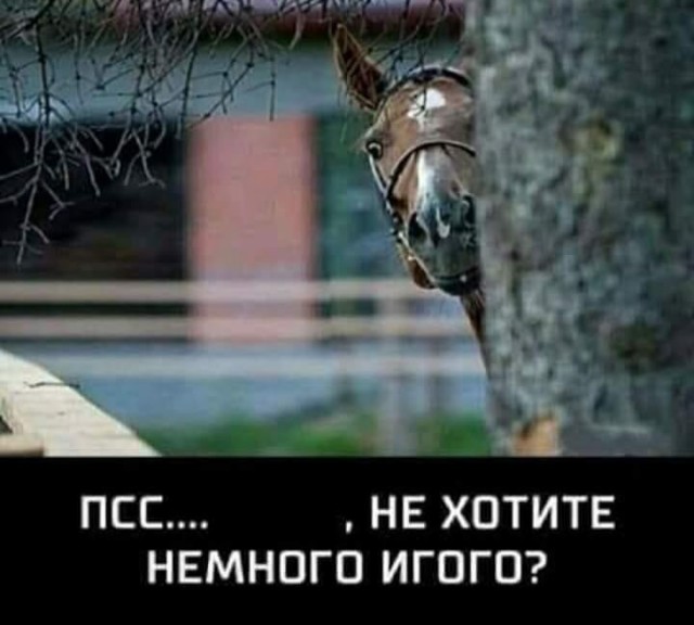 Так себе картинки 30.09.24