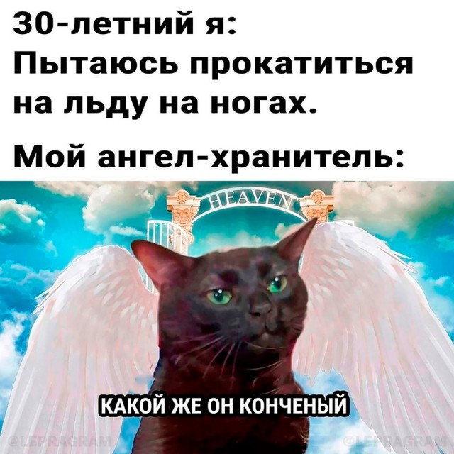 Весёлый полтишок 19.12.24