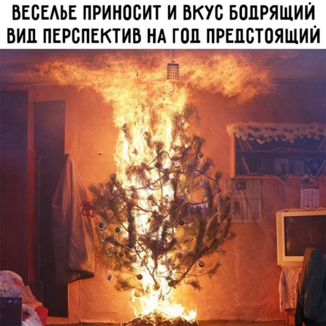 Баяны: август 2023 г - декабрь 2023 г