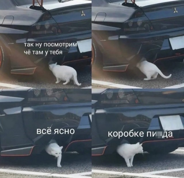 Завалялось тут случайно немного забавных картинок