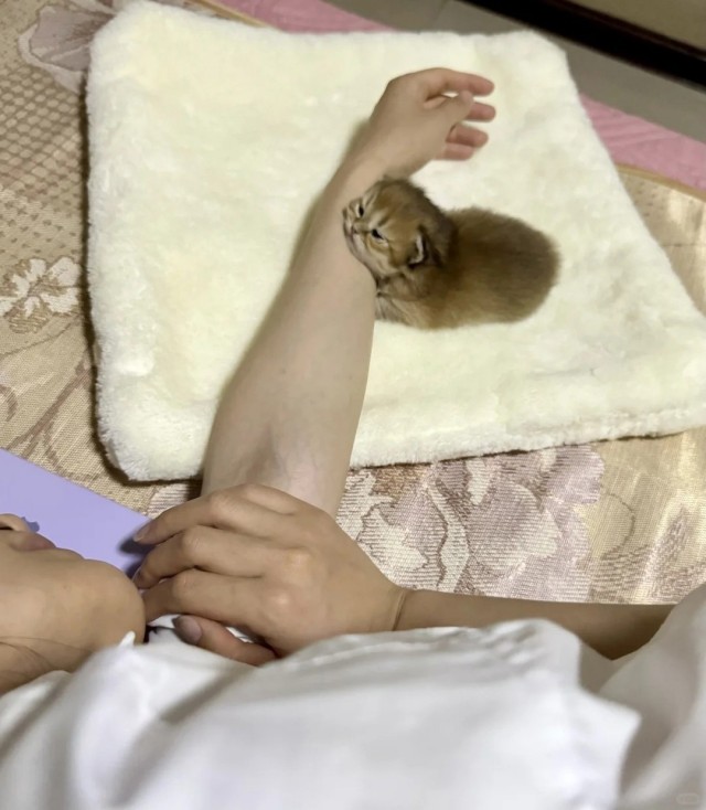 Вторник.Полночь