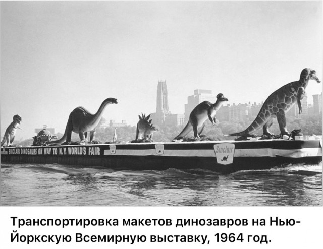 Фотографии о прошлом, открывающие историю с новой стороны 17.07.25