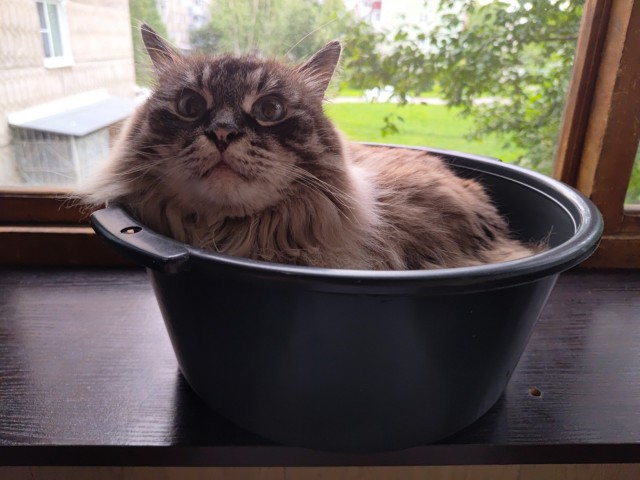 Его первый вторник