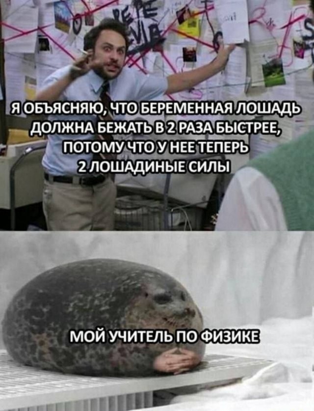 Картинки 26.08.25
