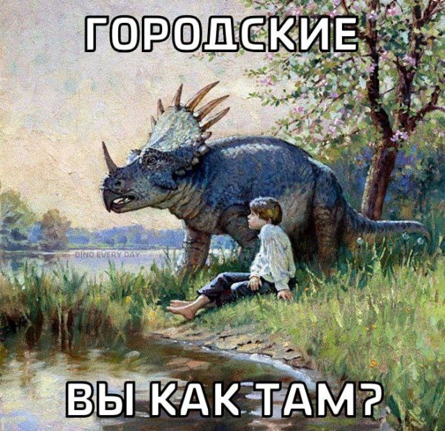 Немного картинкафф для настроения (баяны-перебаяны)