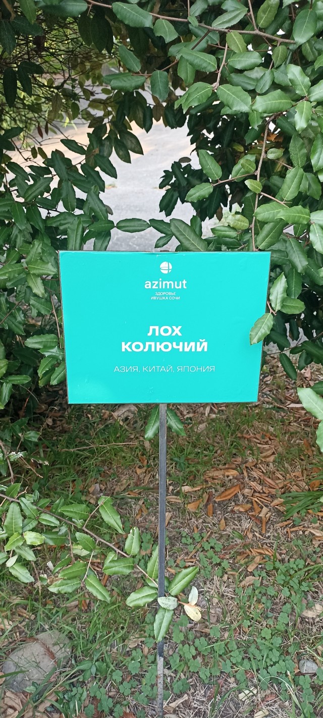 Кинули на гамнито
