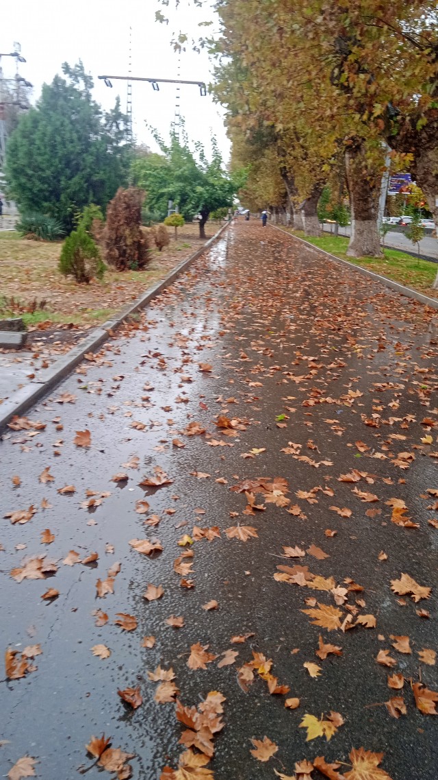 Осень вечно права!