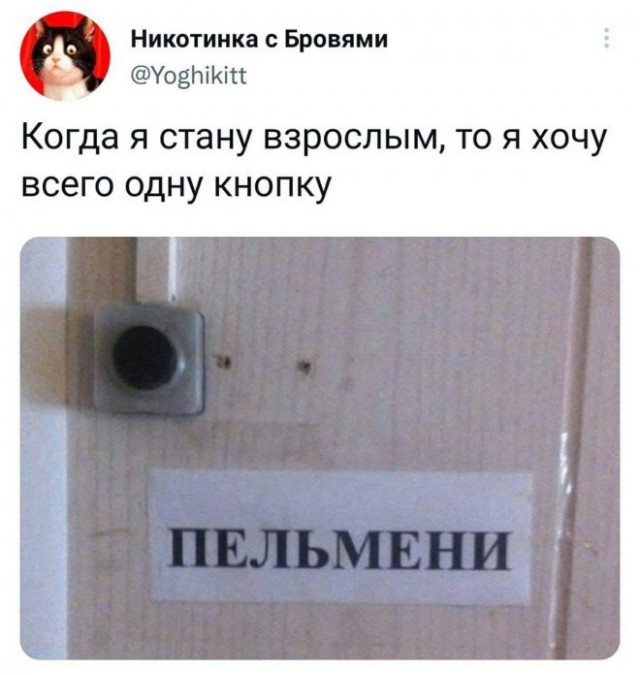 Веселые картинки в понедельник (24.11)