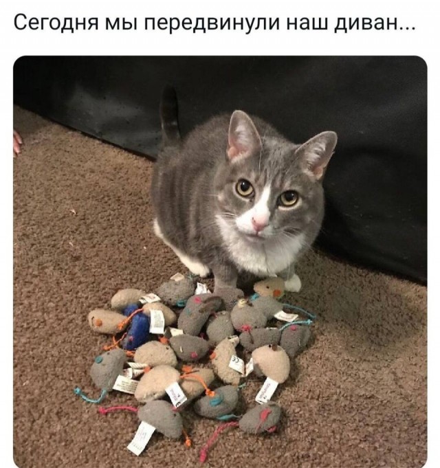 Пятничные картинки