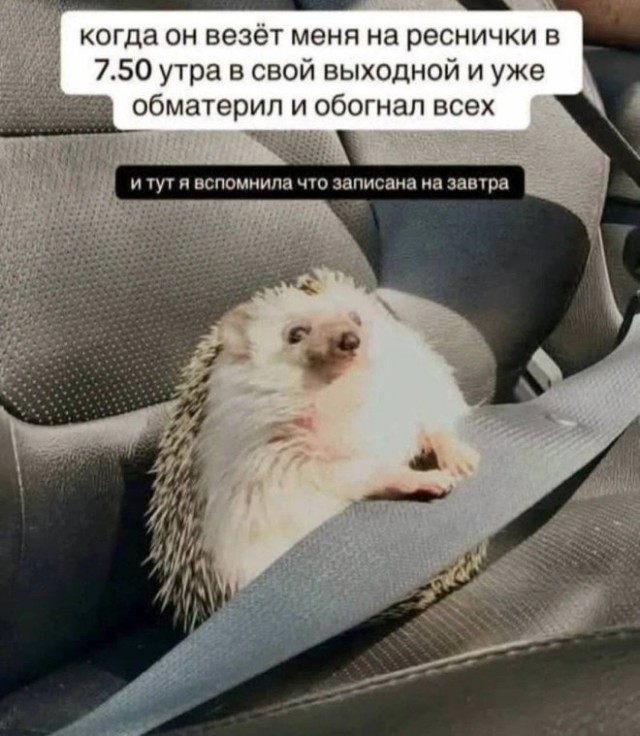 Веселые картинки в понедельник (22.12)