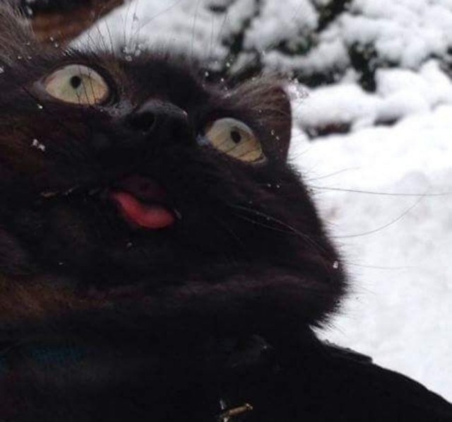 Картиночки на 15.01.2026