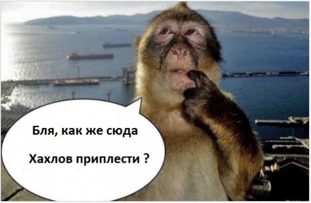 Не реанимировать.