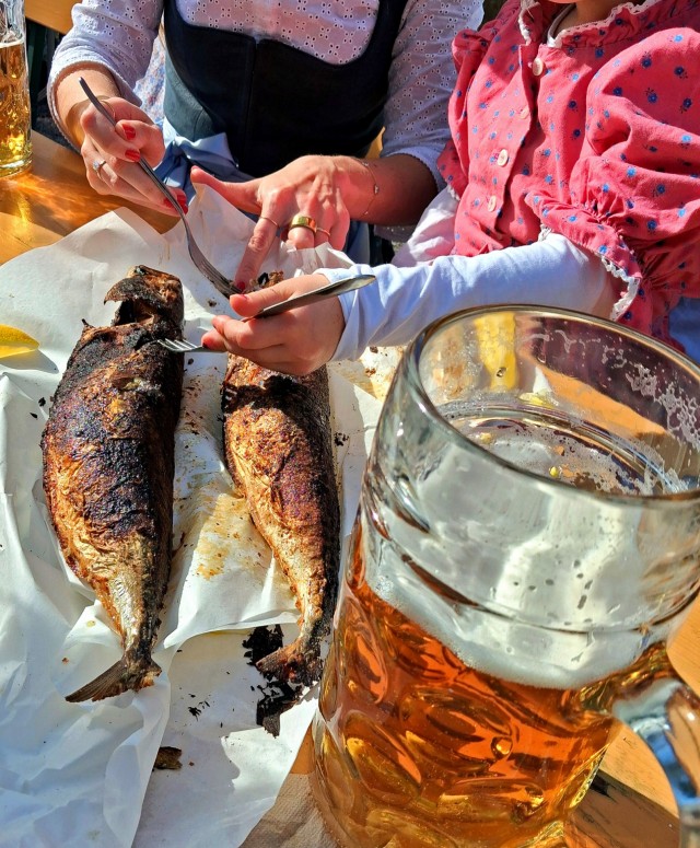 Баварский пивной сад. "Der Biergarten"