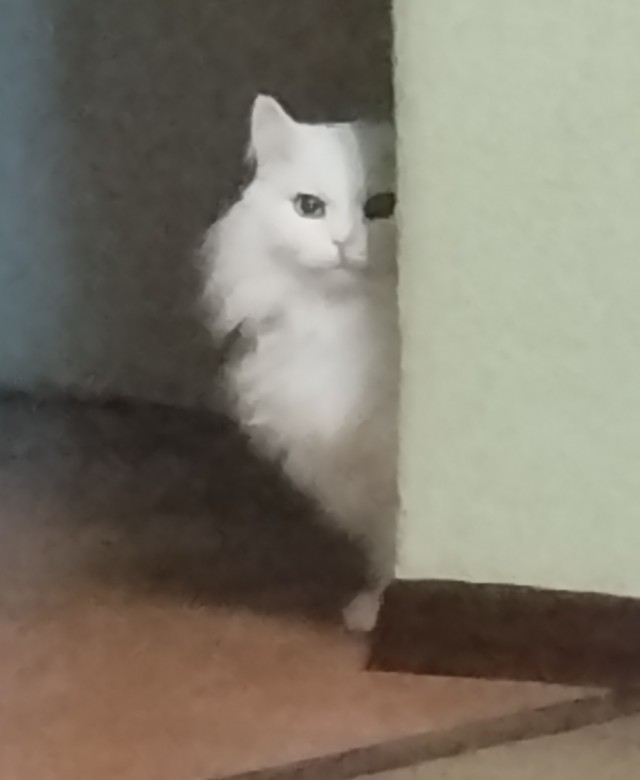 Жрьош?