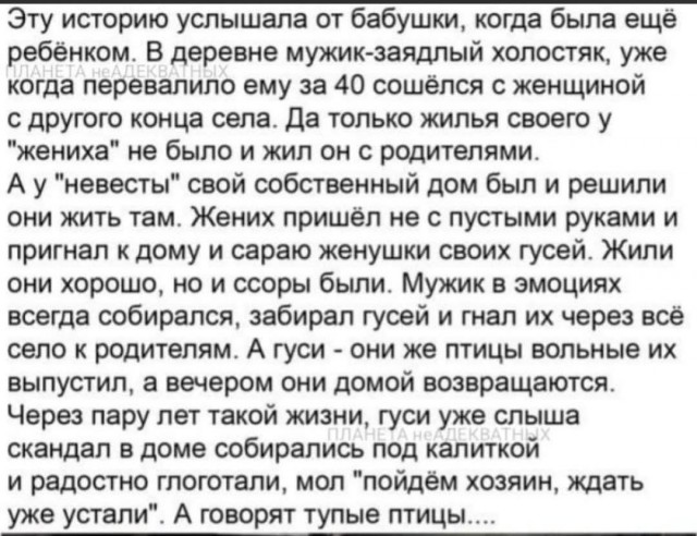Гуси, гуси