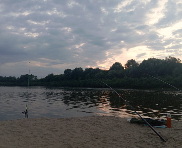 Просто всё лето живу на реке