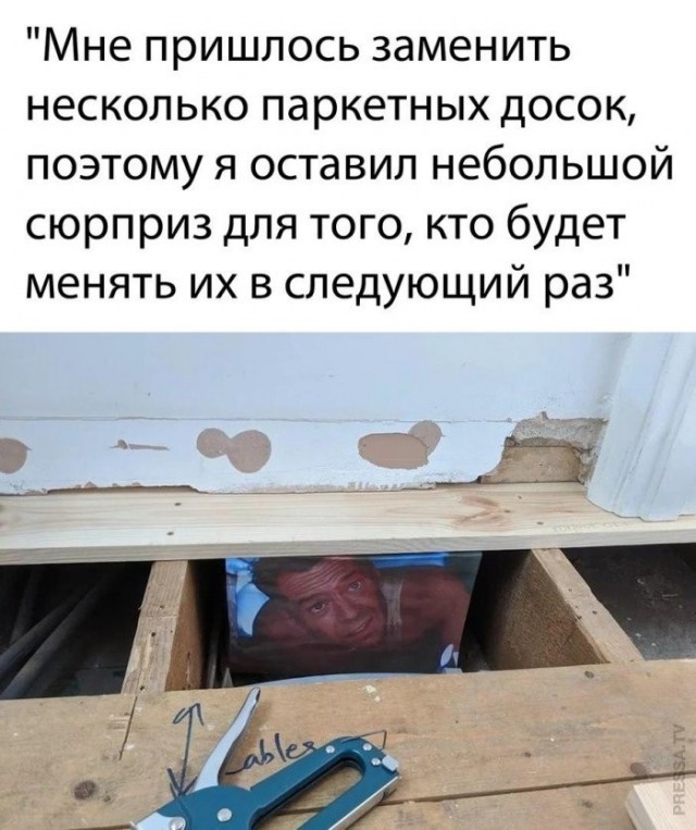 Картинки для деградации 242 (разной степени свежести)