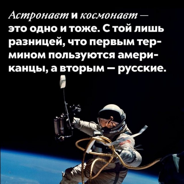 Интересные и короткие факты, на все случаи жизни