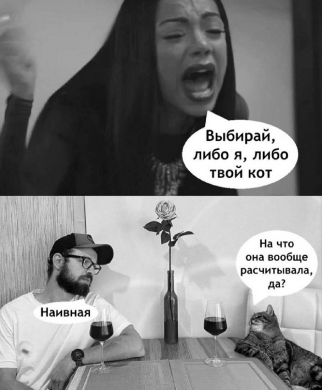 Хоть разводись