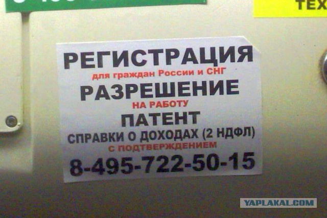 Откуда у приезжих образование и медкнижки