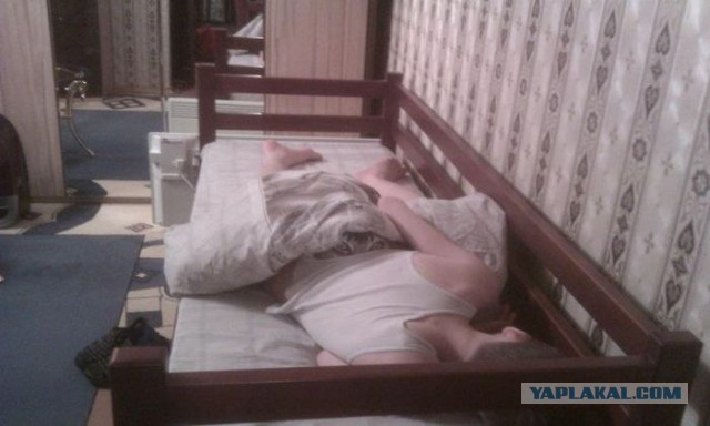 А где прячется ваш кот?