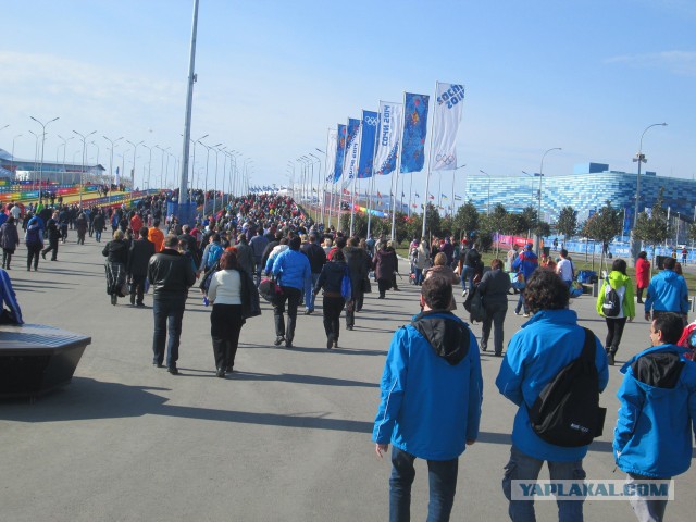 Как я ездил на кёрлинг