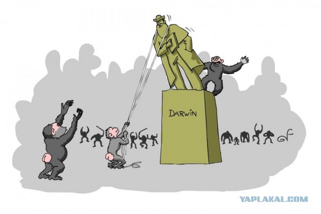 На Западной Украине снесён памятник Кутузову