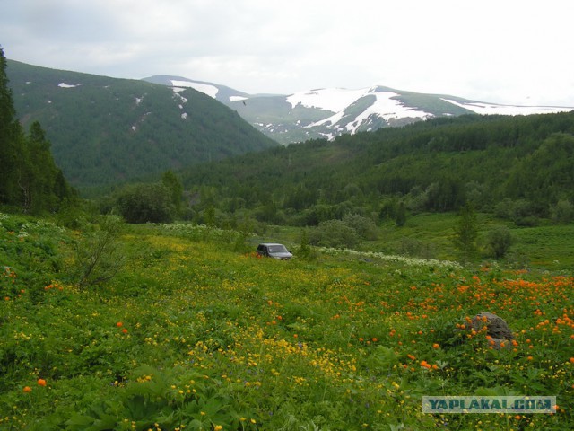 Сибирь настоящая