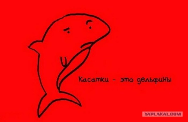 Занимательные факты в картинках