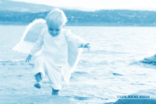 Плюсомет со шпалометом