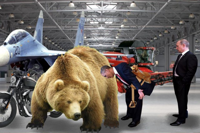 Одна жаба