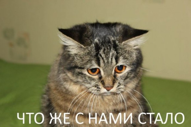 Всё - тлен