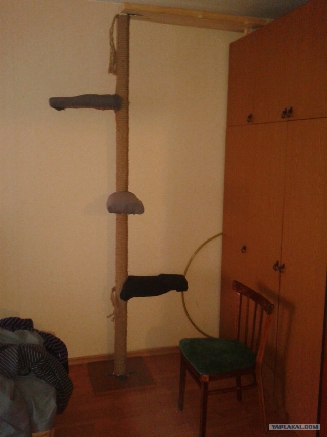 Сказ о том, как я уголок для котов строил