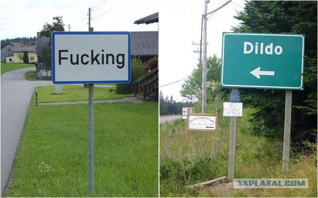 Там живут те кто попал на главную..