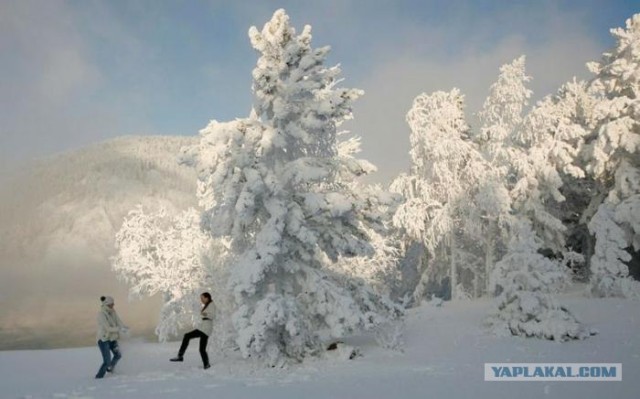 Русская зима 2012